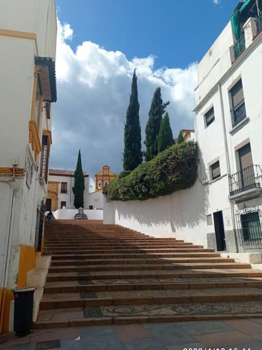 דירות Precioso Loft En El Centro De Cordoba. מראה חיצוני תמונה