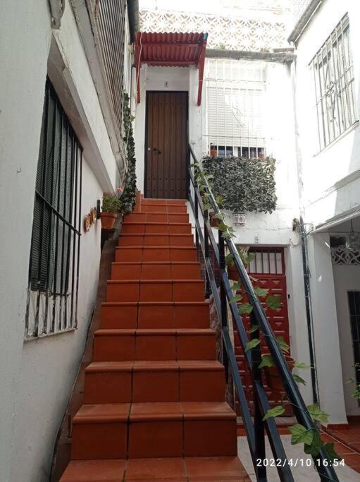 דירות Precioso Loft En El Centro De Cordoba. מראה חיצוני תמונה